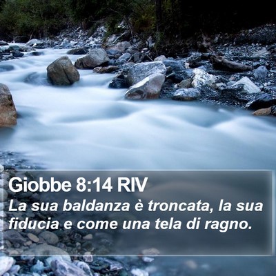 Giobbe 8:14 RIV Bible Verse Image