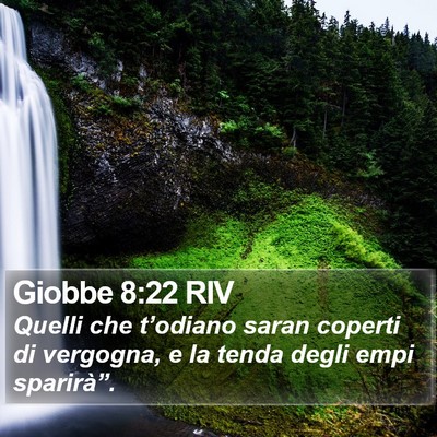 Giobbe 8:22 RIV Bible Verse Image