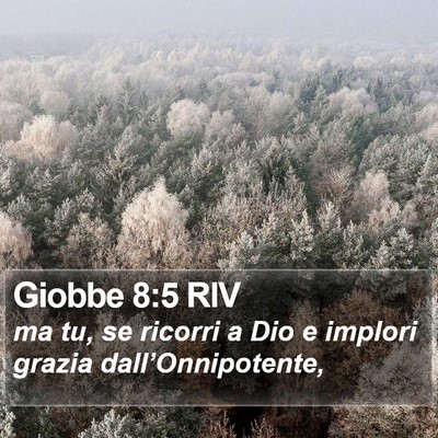 Giobbe 8:5 RIV Bible Verse Image