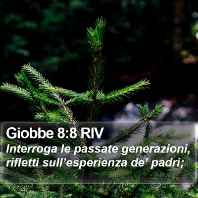 Giobbe 8:8 RIV Bible Verse Image