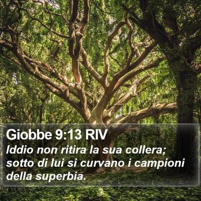 Giobbe 9:13 RIV Bible Verse Image