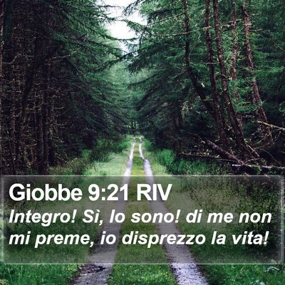 Giobbe 9:21 RIV Bible Verse Image