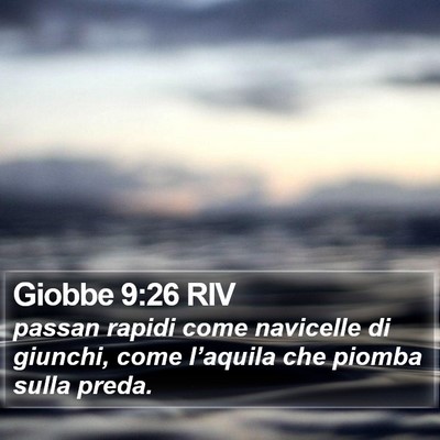 Giobbe 9:26 RIV Bible Verse Image