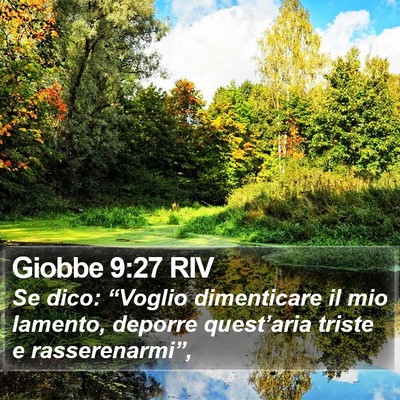 Giobbe 9:27 RIV Bible Verse Image