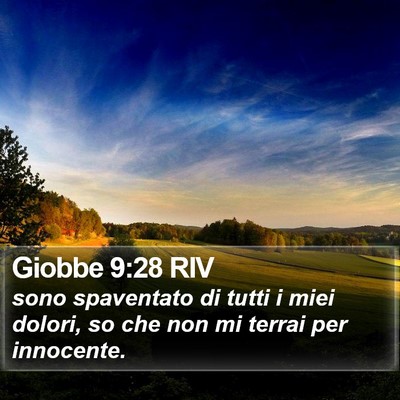 Giobbe 9:28 RIV Bible Verse Image