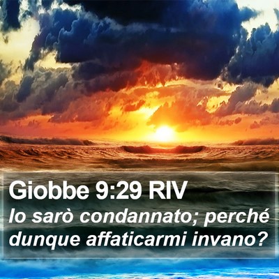 Giobbe 9:29 RIV Bible Verse Image