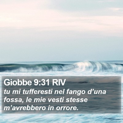 Giobbe 9:31 RIV Bible Verse Image