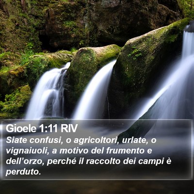 Gioele 1:11 RIV Bible Verse Image