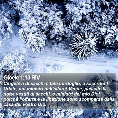 Gioele 1:13 RIV Bible Verse Image