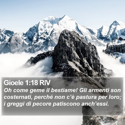 Gioele 1:18 RIV Bible Verse Image