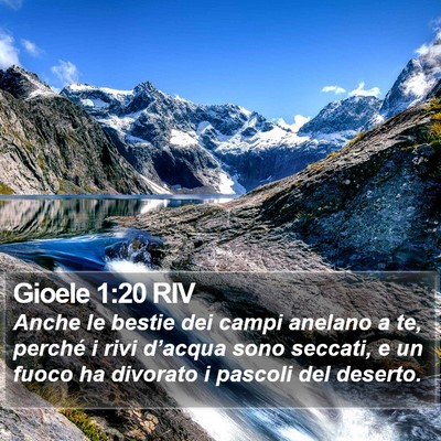 Gioele 1:20 RIV Bible Verse Image