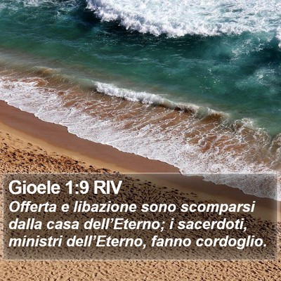 Gioele 1:9 RIV Bible Verse Image