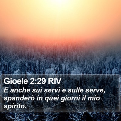 Gioele 2:29 RIV Bible Verse Image