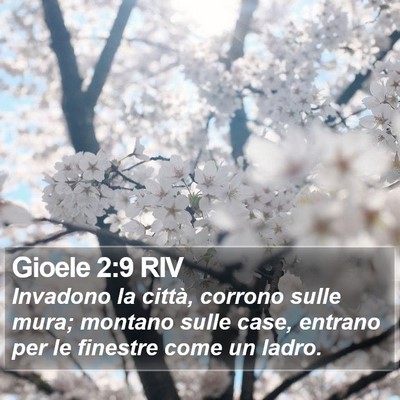 Gioele 2:9 RIV Bible Verse Image