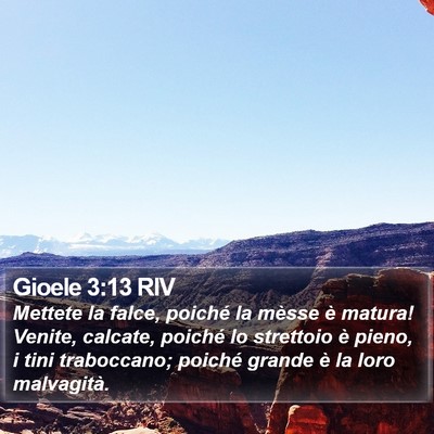 Gioele 3:13 RIV Bible Verse Image