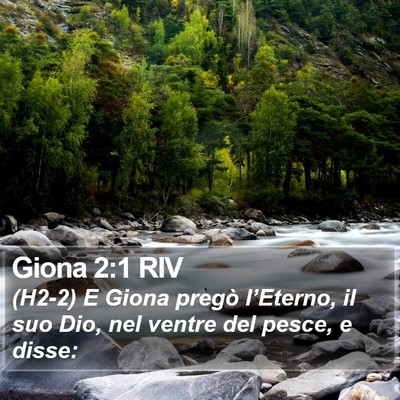 Giona 2:1 RIV Bible Verse Image