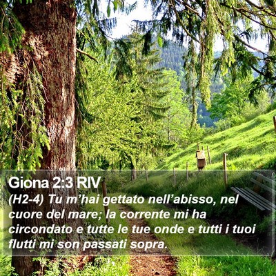 Giona 2:3 RIV Bible Verse Image