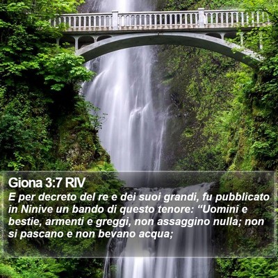 Giona 3:7 RIV Bible Verse Image