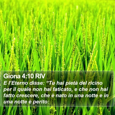 Giona 4:10 RIV Bible Verse Image