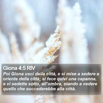 Giona 4:5 RIV Bible Verse Image