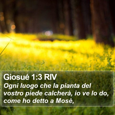 Giosué 1:3 RIV Bible Verse Image