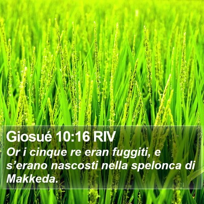 Giosué 10:16 RIV Bible Verse Image