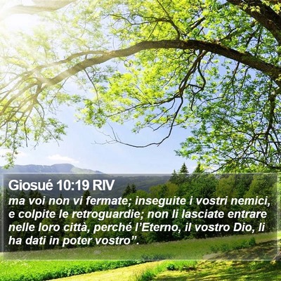 Giosué 10:19 RIV Bible Verse Image