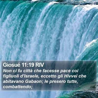 Giosué 11:19 RIV Bible Verse Image