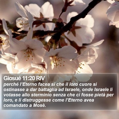 Giosué 11:20 RIV Bible Verse Image