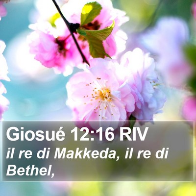 Giosué 12:16 RIV Bible Verse Image