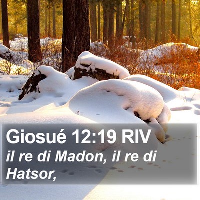 Giosué 12:19 RIV Bible Verse Image