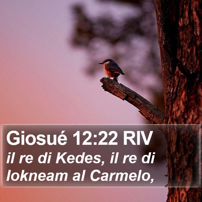 Giosué 12:22 RIV Bible Verse Image