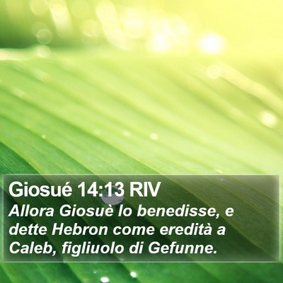 Giosué 14:13 RIV Bible Verse Image