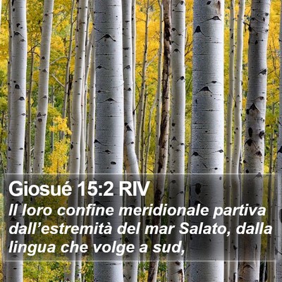 Giosué 15:2 RIV Bible Verse Image