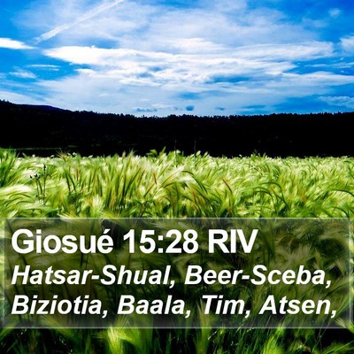 Giosué 15:28 RIV Bible Verse Image