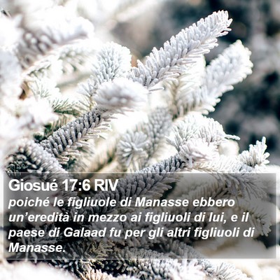 Giosué 17:6 RIV Bible Verse Image