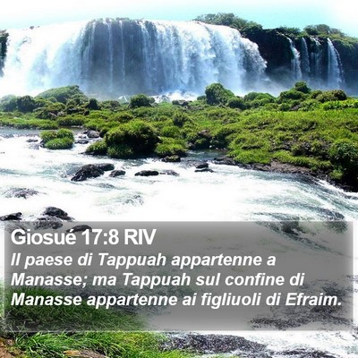 Giosué 17:8 RIV Bible Verse Image