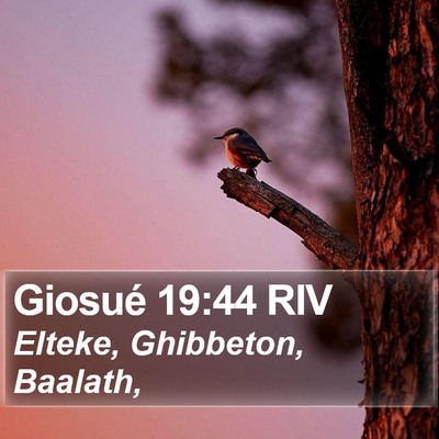 Giosué 19:44 RIV Bible Verse Image
