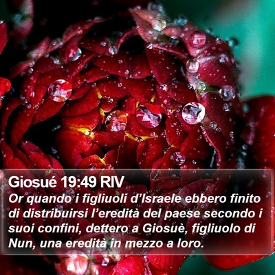 Giosué 19:49 RIV Bible Verse Image