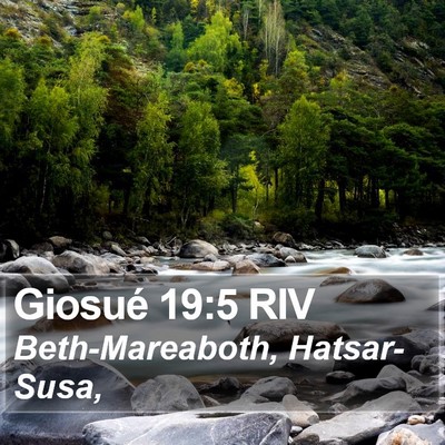 Giosué 19:5 RIV Bible Verse Image
