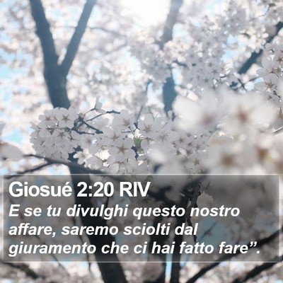 Giosué 2:20 RIV Bible Verse Image