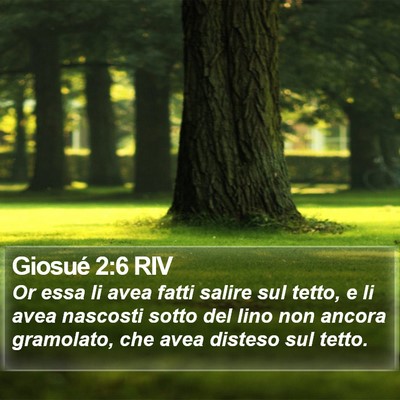 Giosué 2:6 RIV Bible Verse Image
