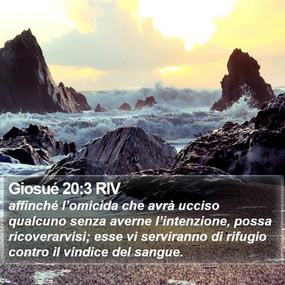 Giosué 20:3 RIV Bible Verse Image