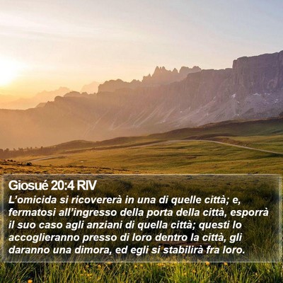Giosué 20:4 RIV Bible Verse Image