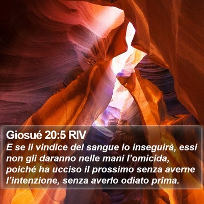 Giosué 20:5 RIV Bible Verse Image