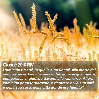 Giosué 20:6 RIV Bible Verse Image