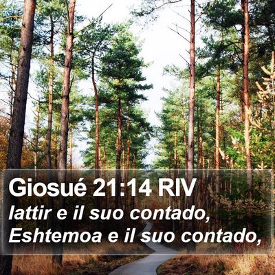 Giosué 21:14 RIV Bible Verse Image