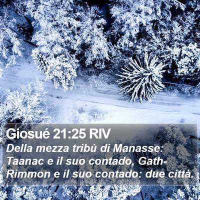 Giosué 21:25 RIV Bible Verse Image