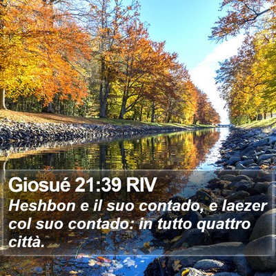 Giosué 21:39 RIV Bible Verse Image