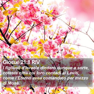 Giosué 21:8 RIV Bible Verse Image